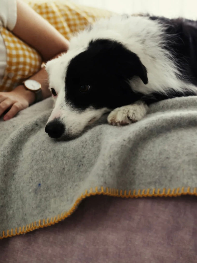 Waverley Mills Pet Blankets