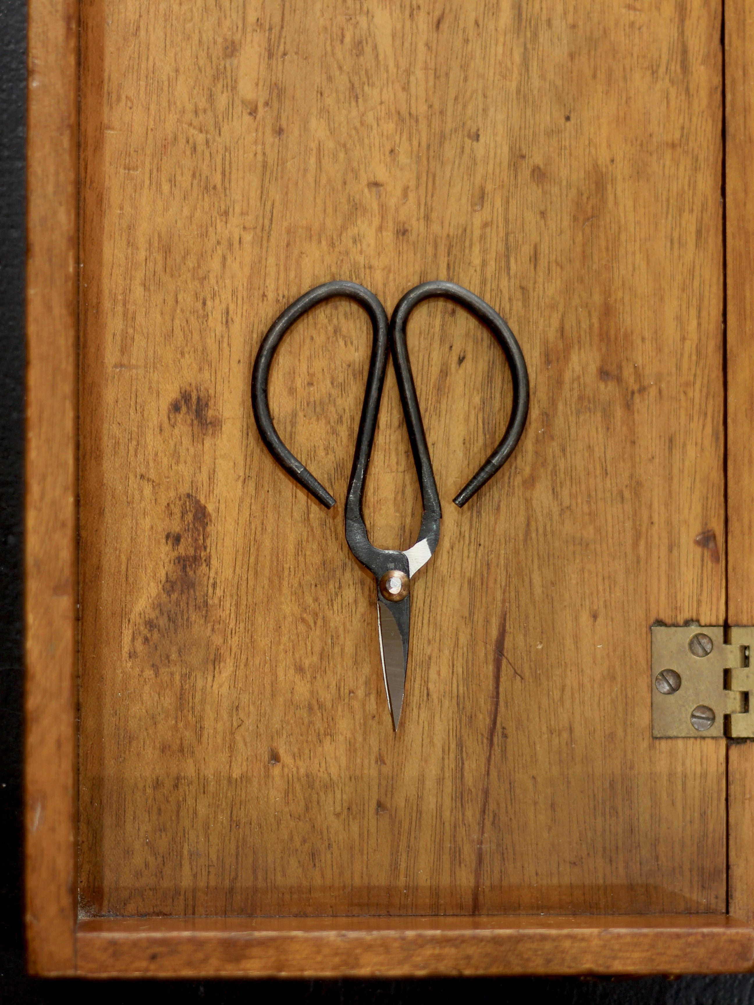 Mini Scissors