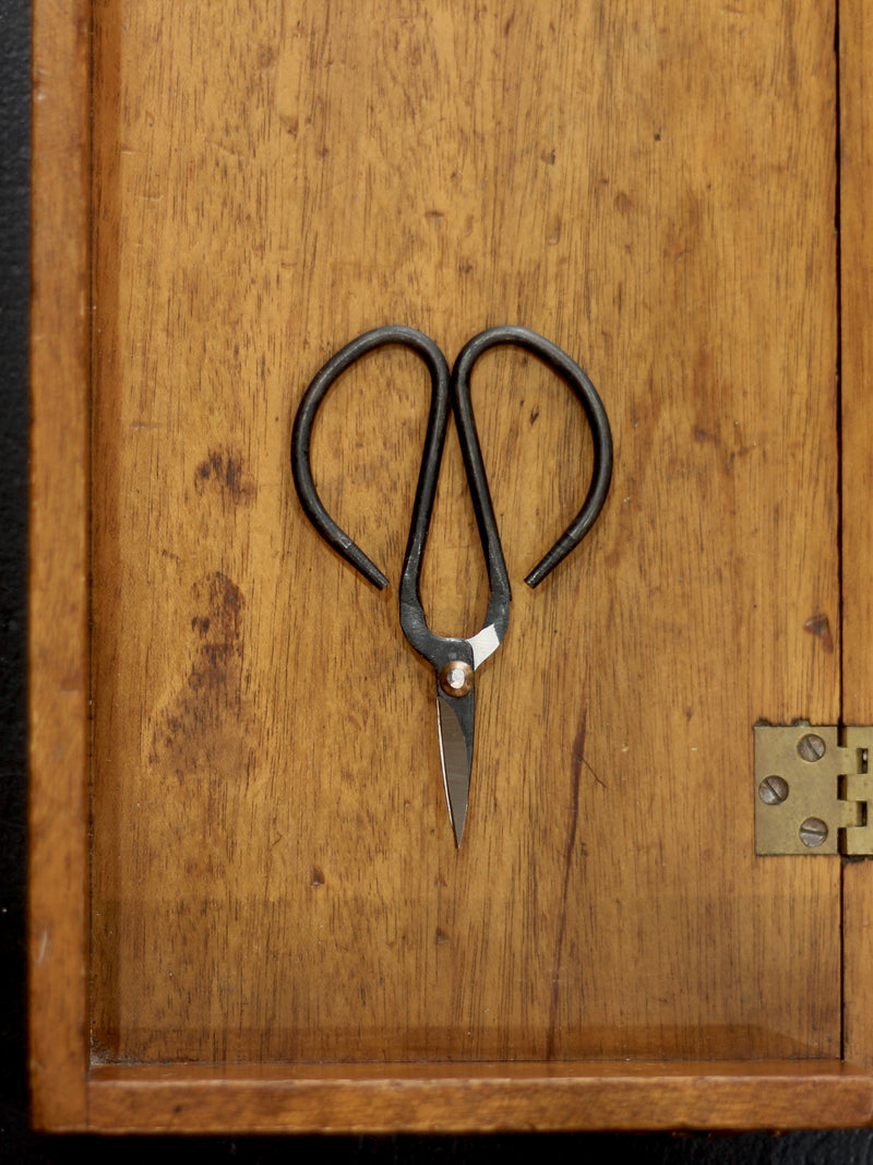 Mini Scissors