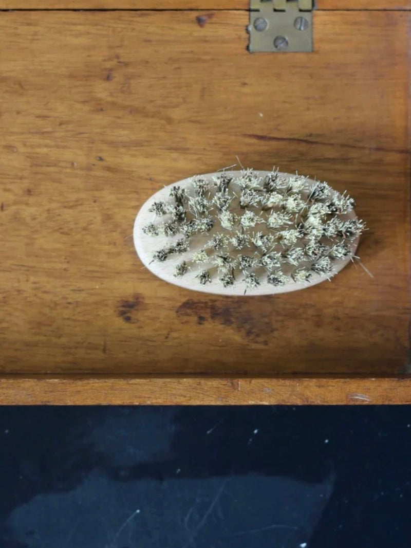 Mussel/Oyster Cleaning Brush