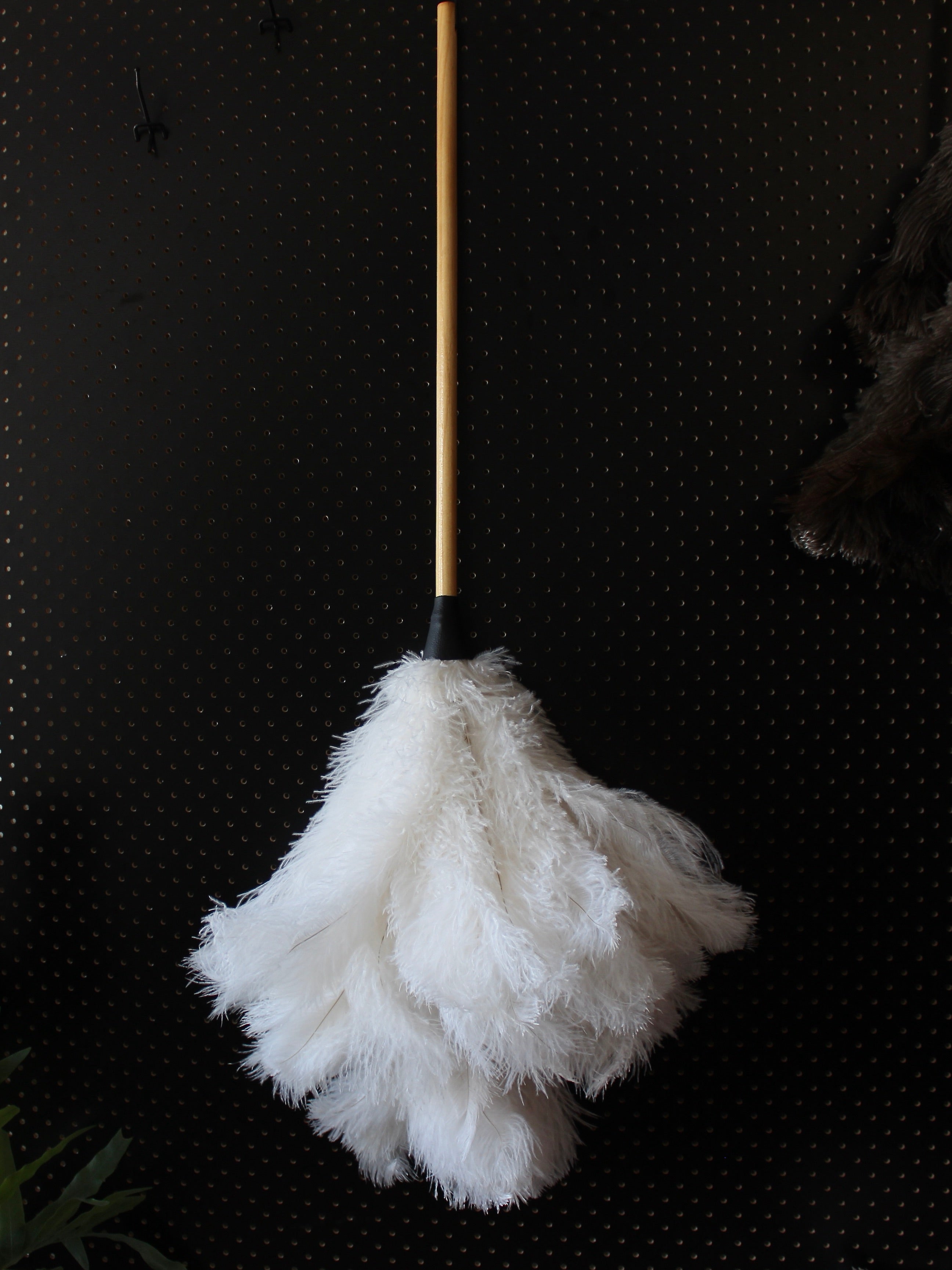 Feather Duster 