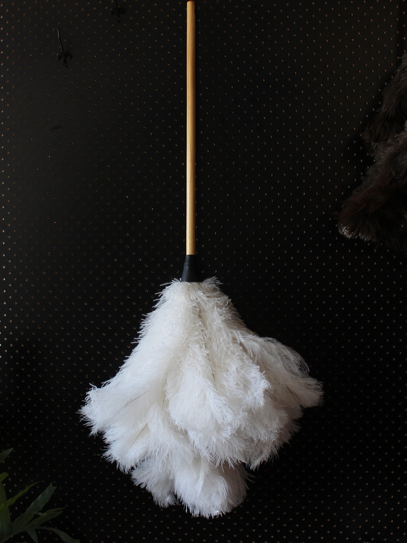 Feather Duster 