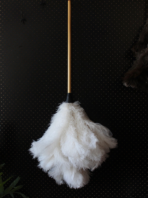 Feather Duster 
