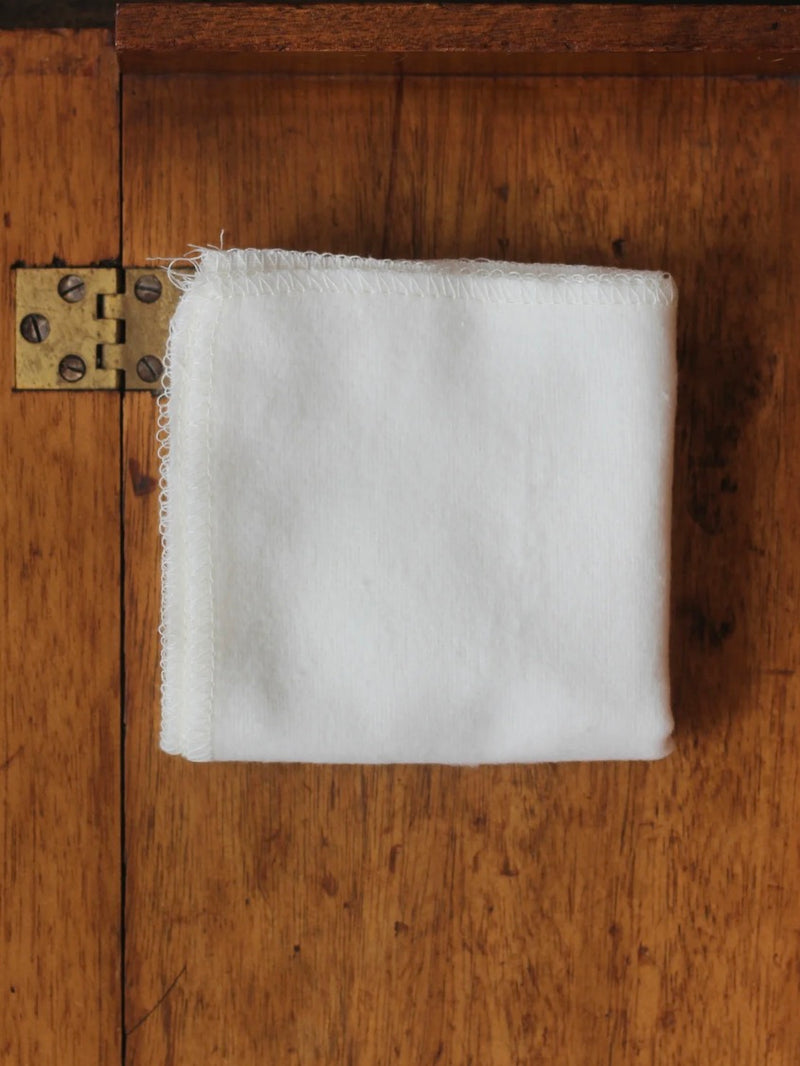 Shoe Shine Cloth