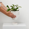 Indoor  Pots & Planters | Solstice Pot | Mosey