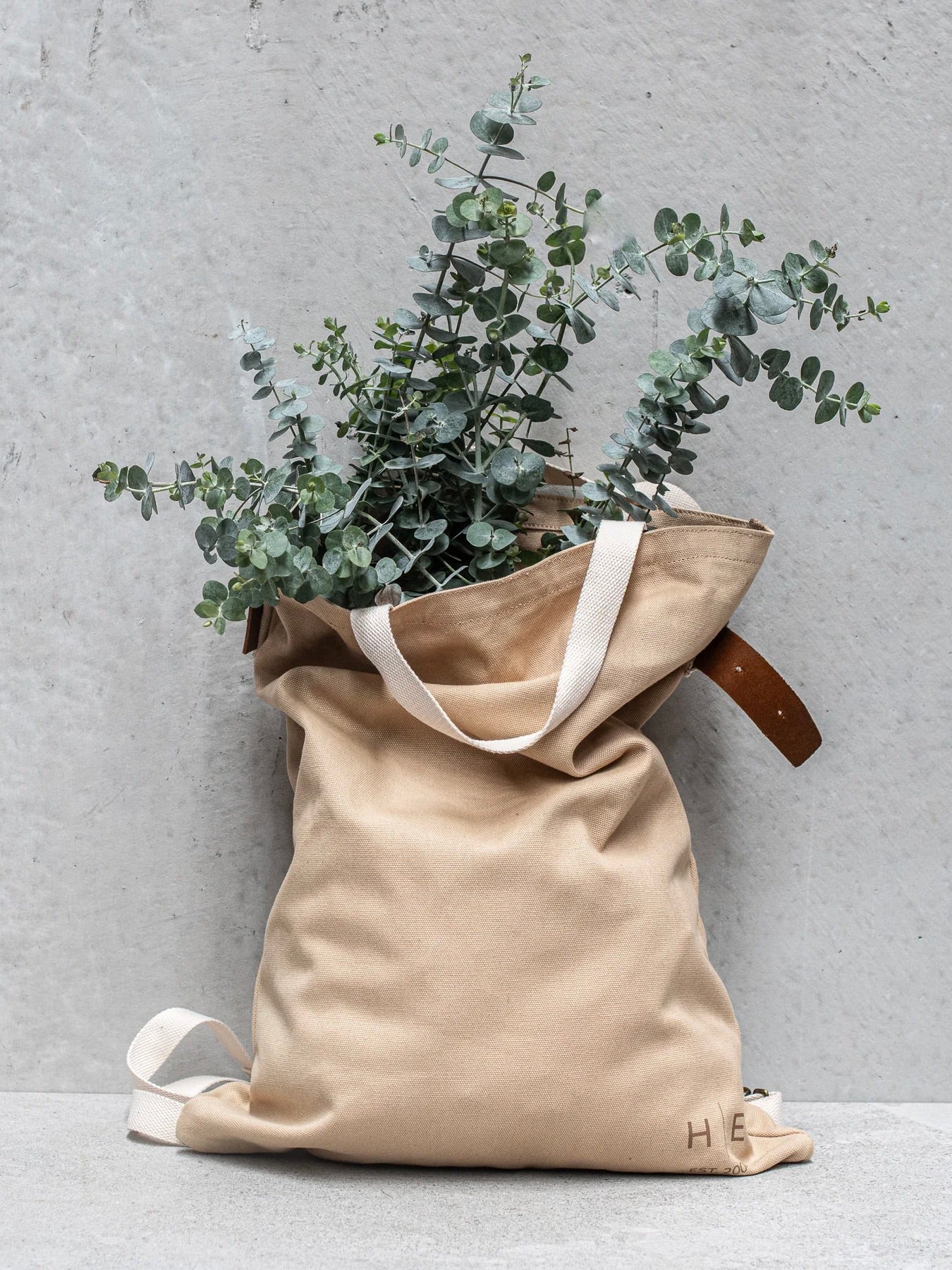 Carry All Backpack