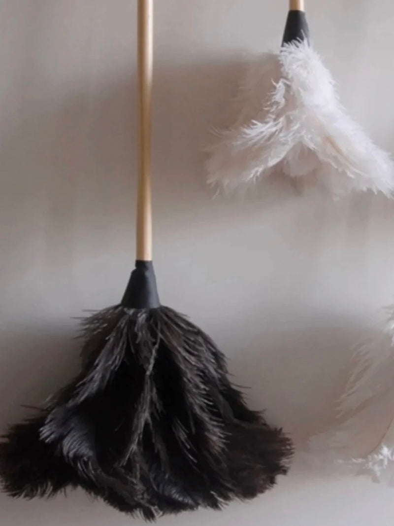 Feather Duster | Natural