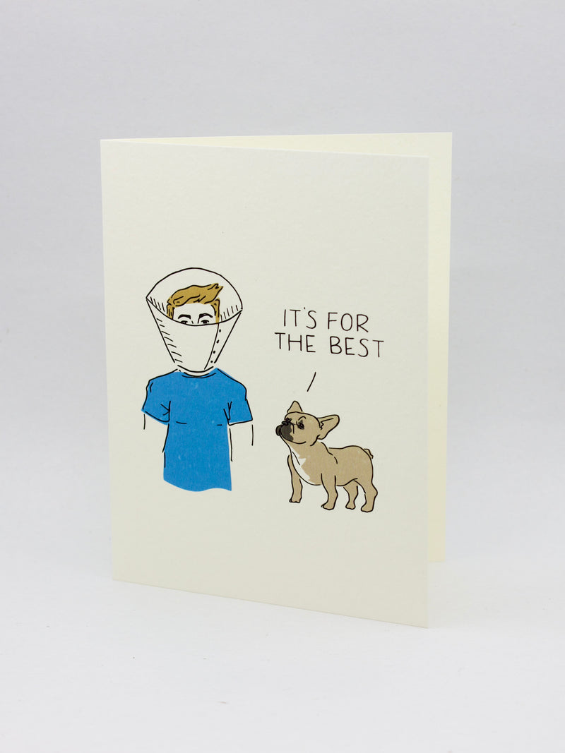 All Occasions Greeting Cards