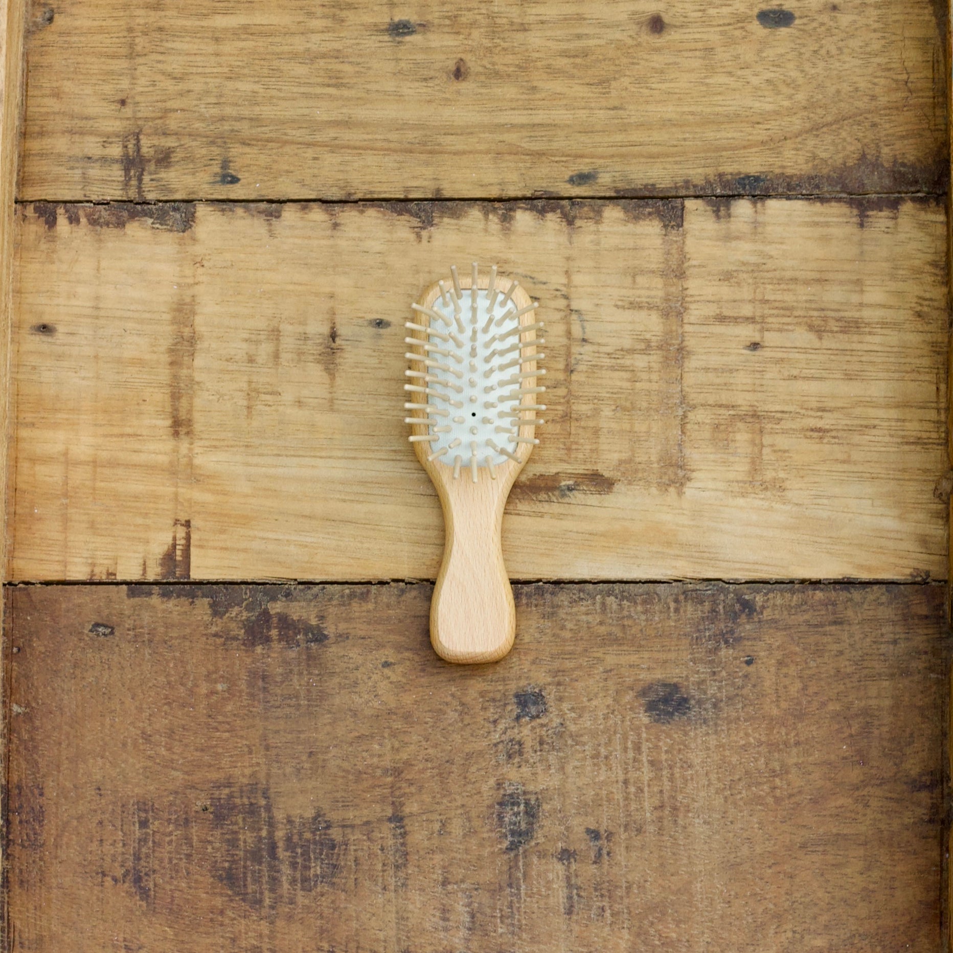 Compact Travel Brush