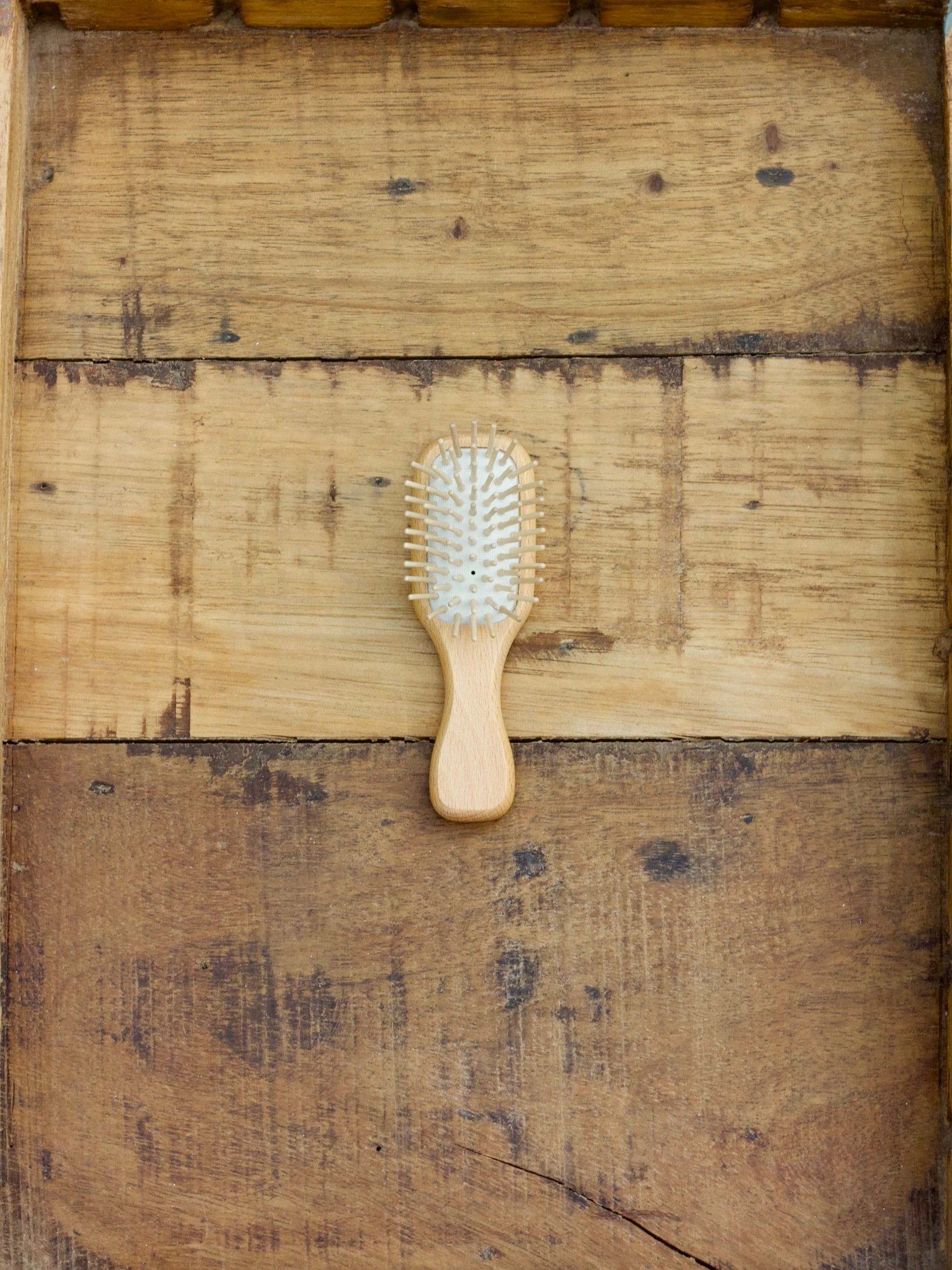 Compact Travel Brush