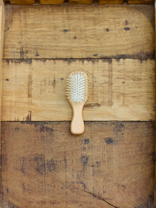 Compact Travel Brush