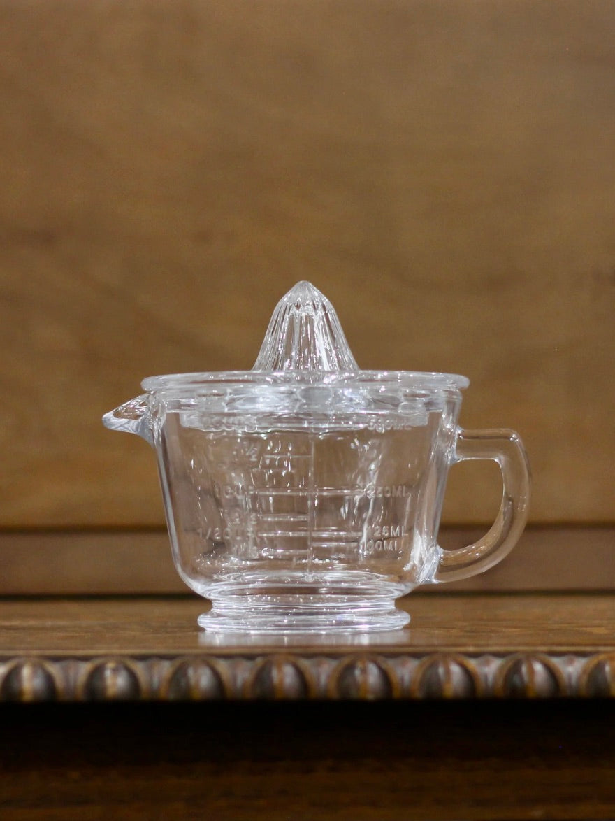 Glass Citrus Juicer
