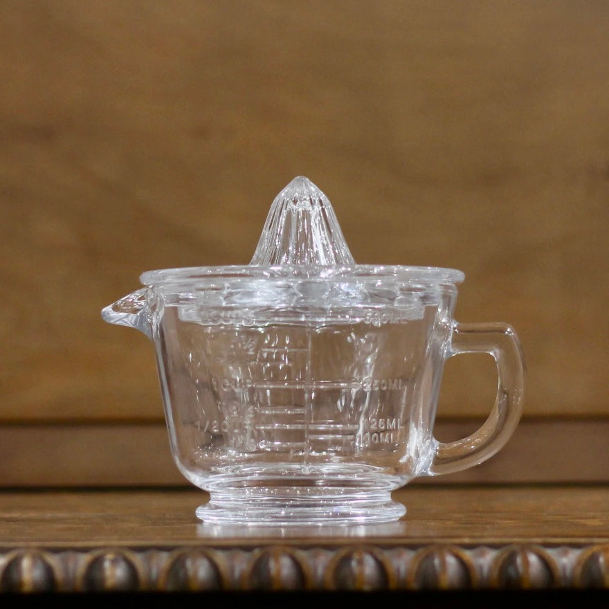 Glass Citrus Juicer