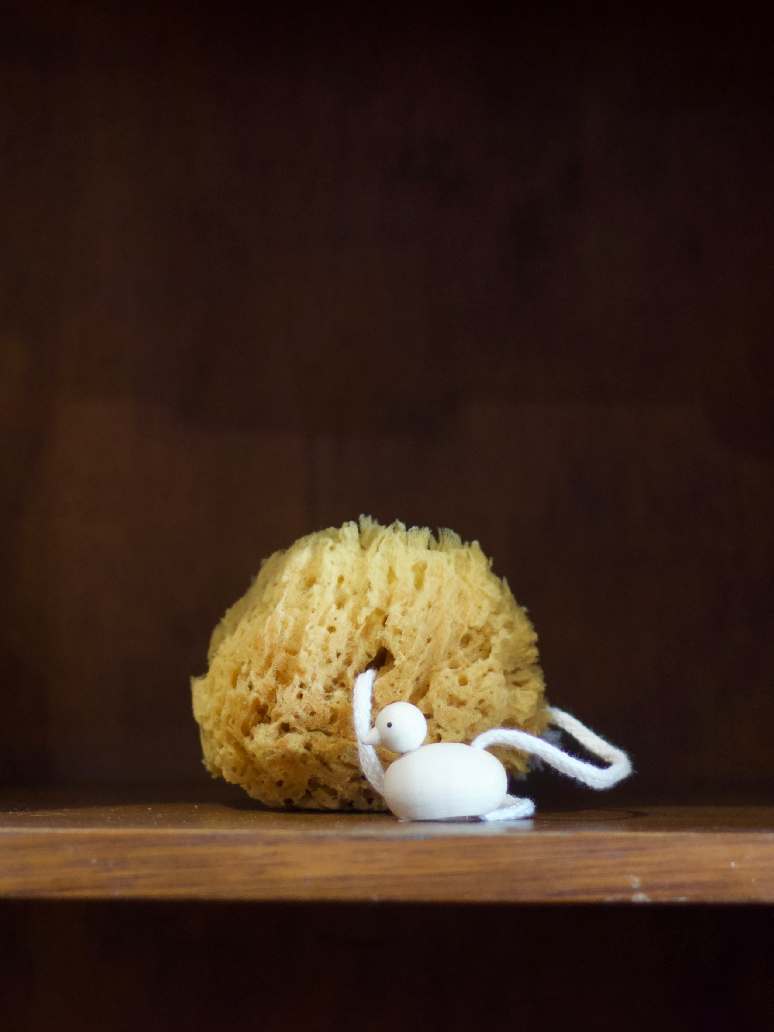Redecker Bath Sponge with wooden duck
