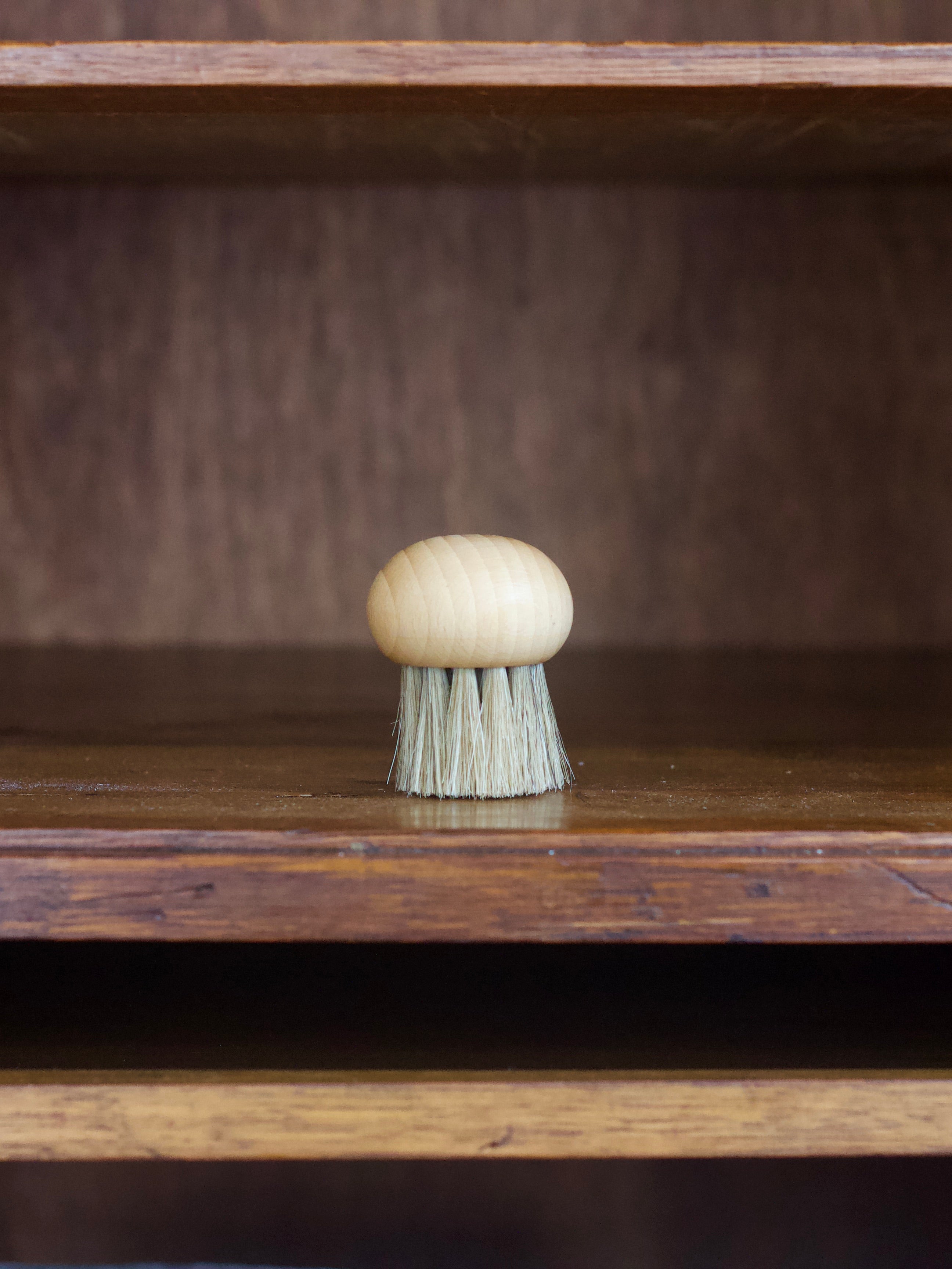 Small Redecker mushroom-shaped mushroom brush on a wooden shelf with a dark background