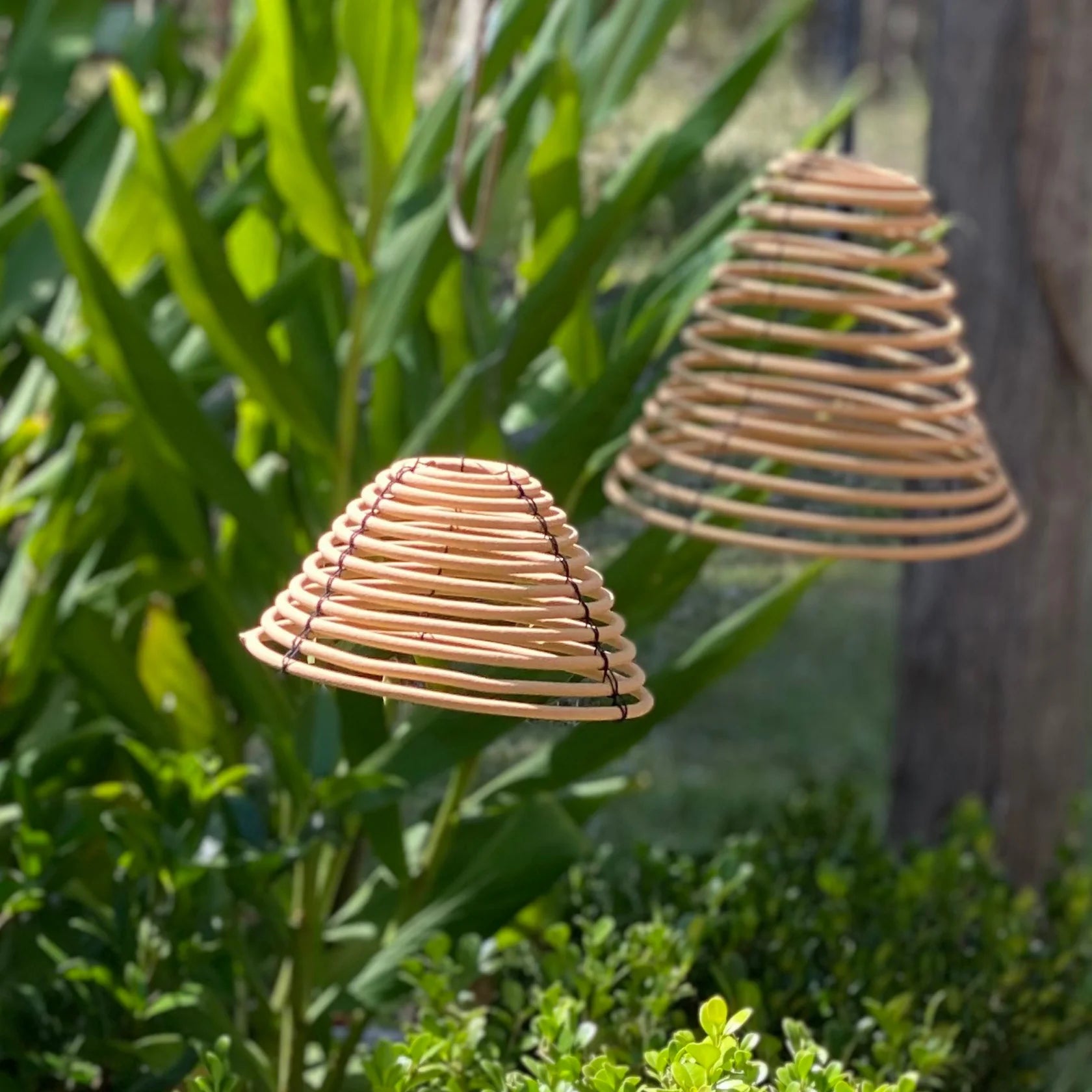 Citronella Hanging Coil