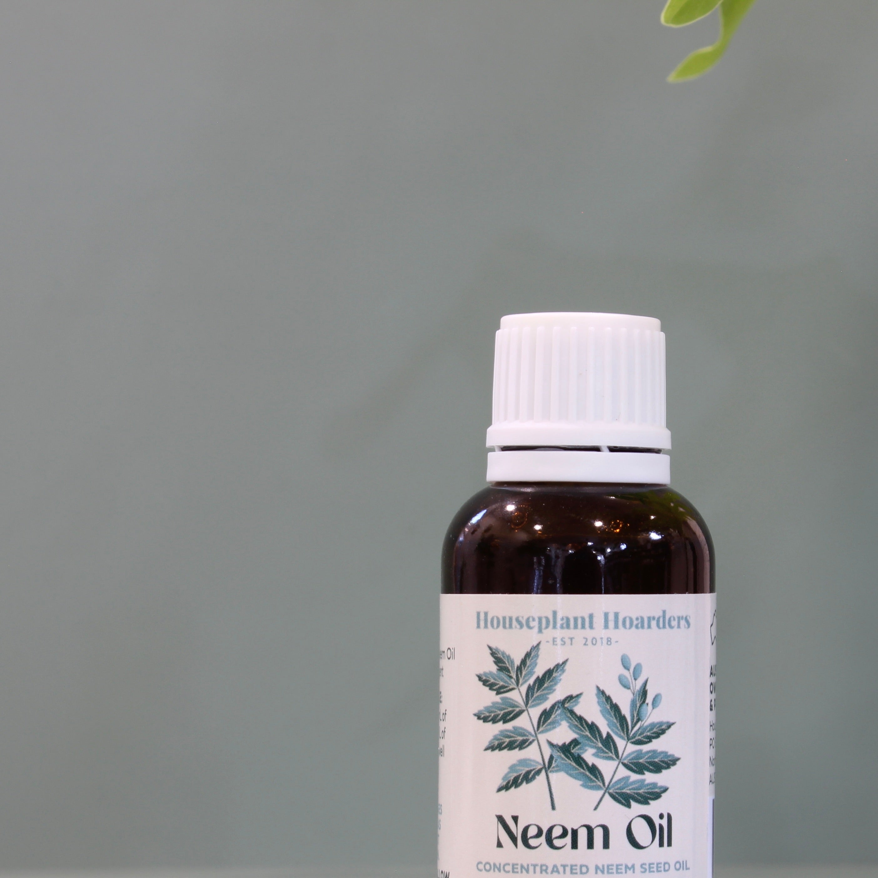 Concentrated Neem Seed Oil