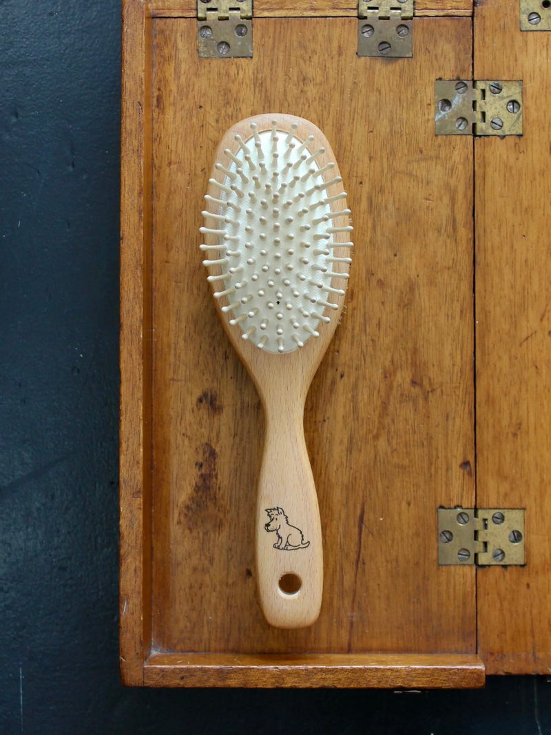 Pet Brush