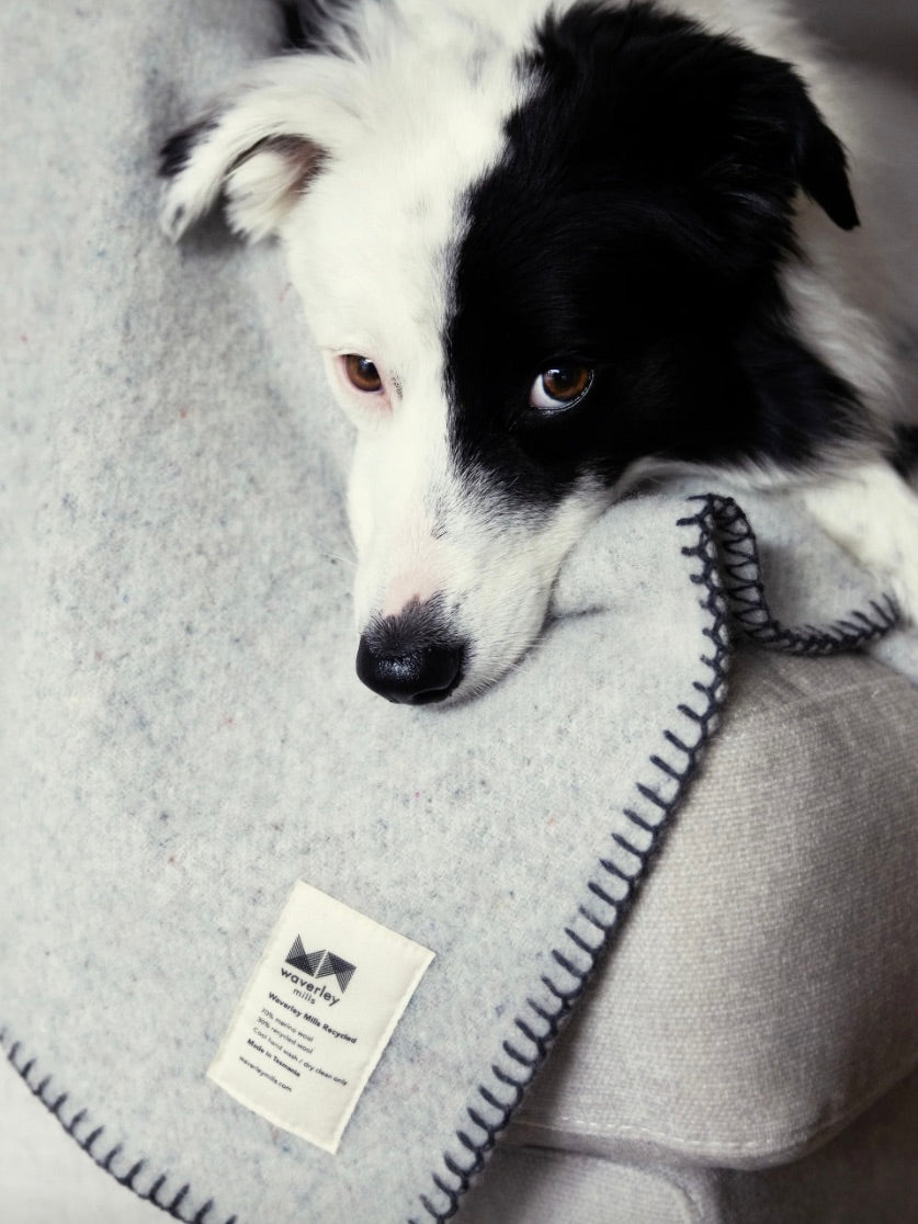 Waverley Mills Pet Blanket | Charcoal