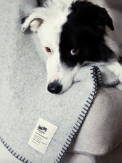Waverley Mills Pet Blanket | Charcoal