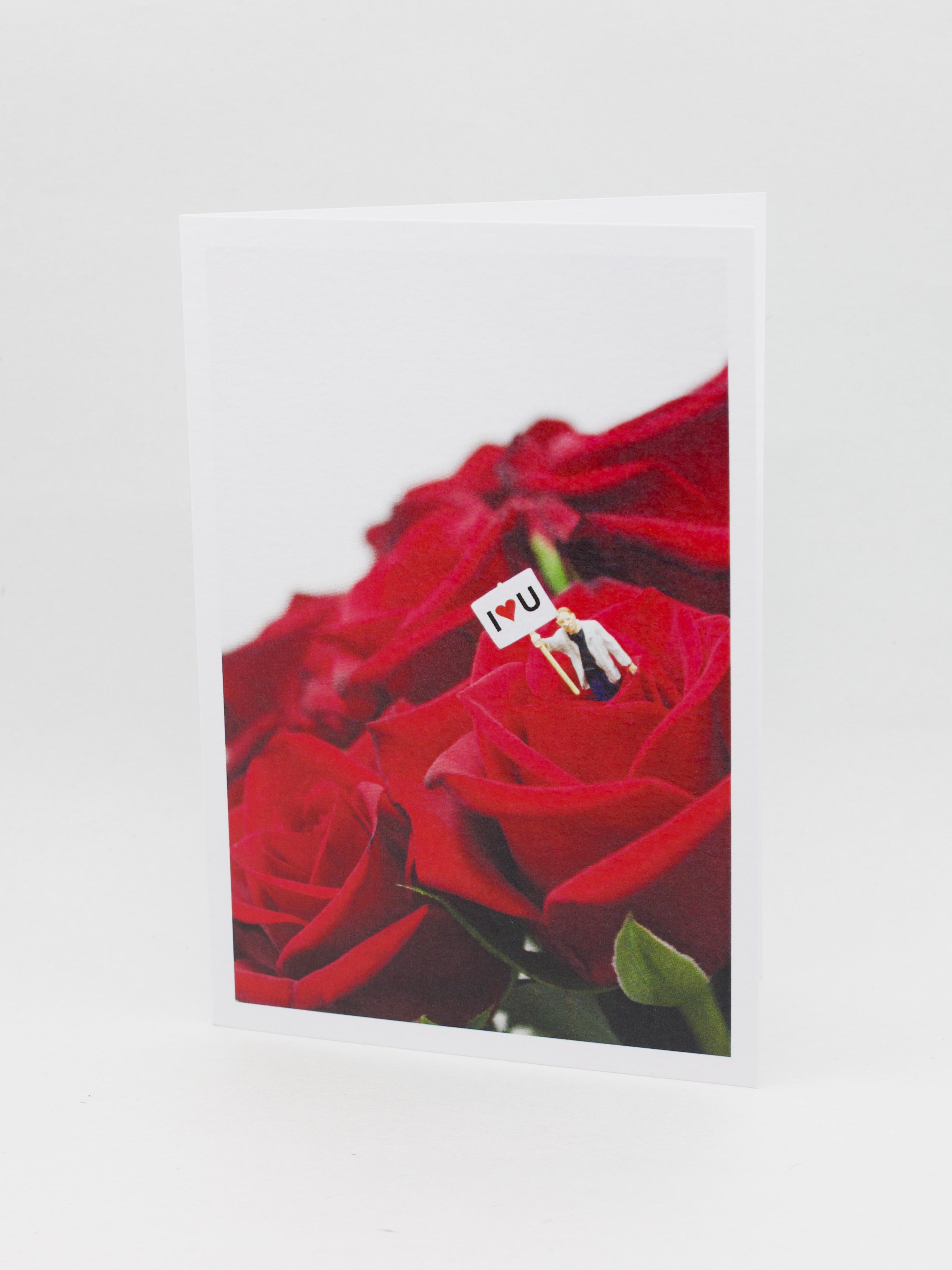 Love & Friendship Greeting Cards