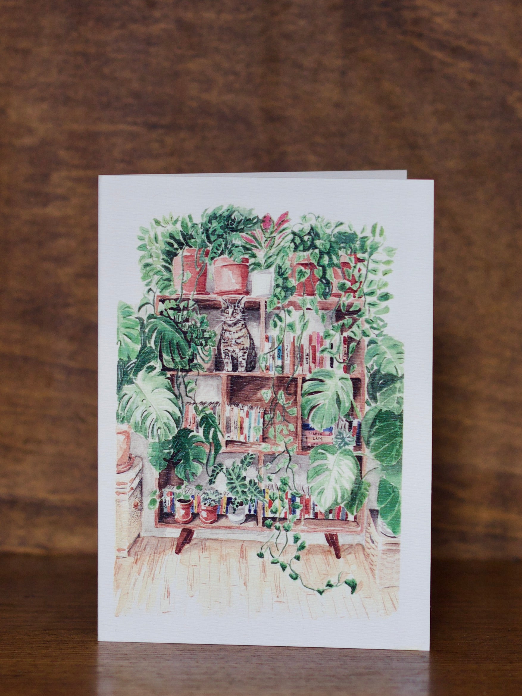 All occasions greeting cards with a cat on a bookshelf surrounded by plants on a wooden background