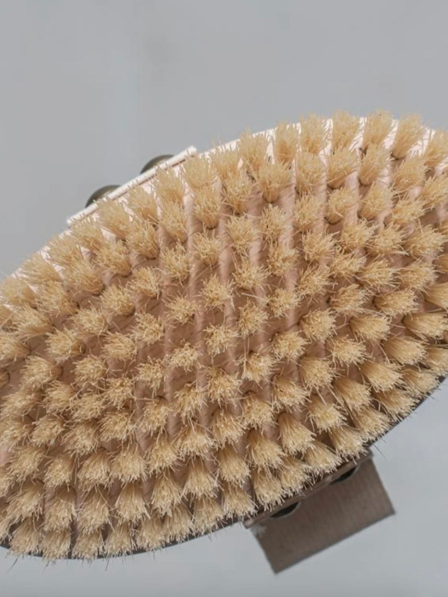 Bath Brush