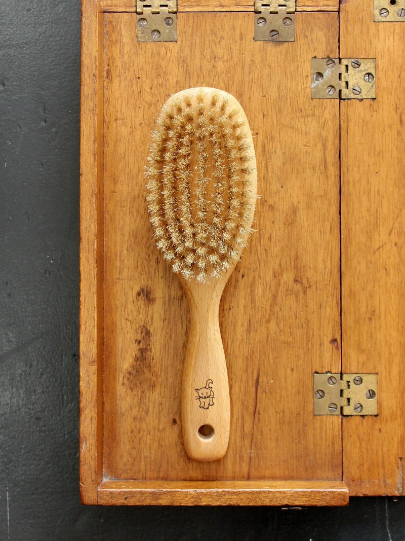 Pet Brush