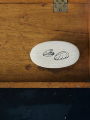 Mussel/Oyster Cleaning Brush