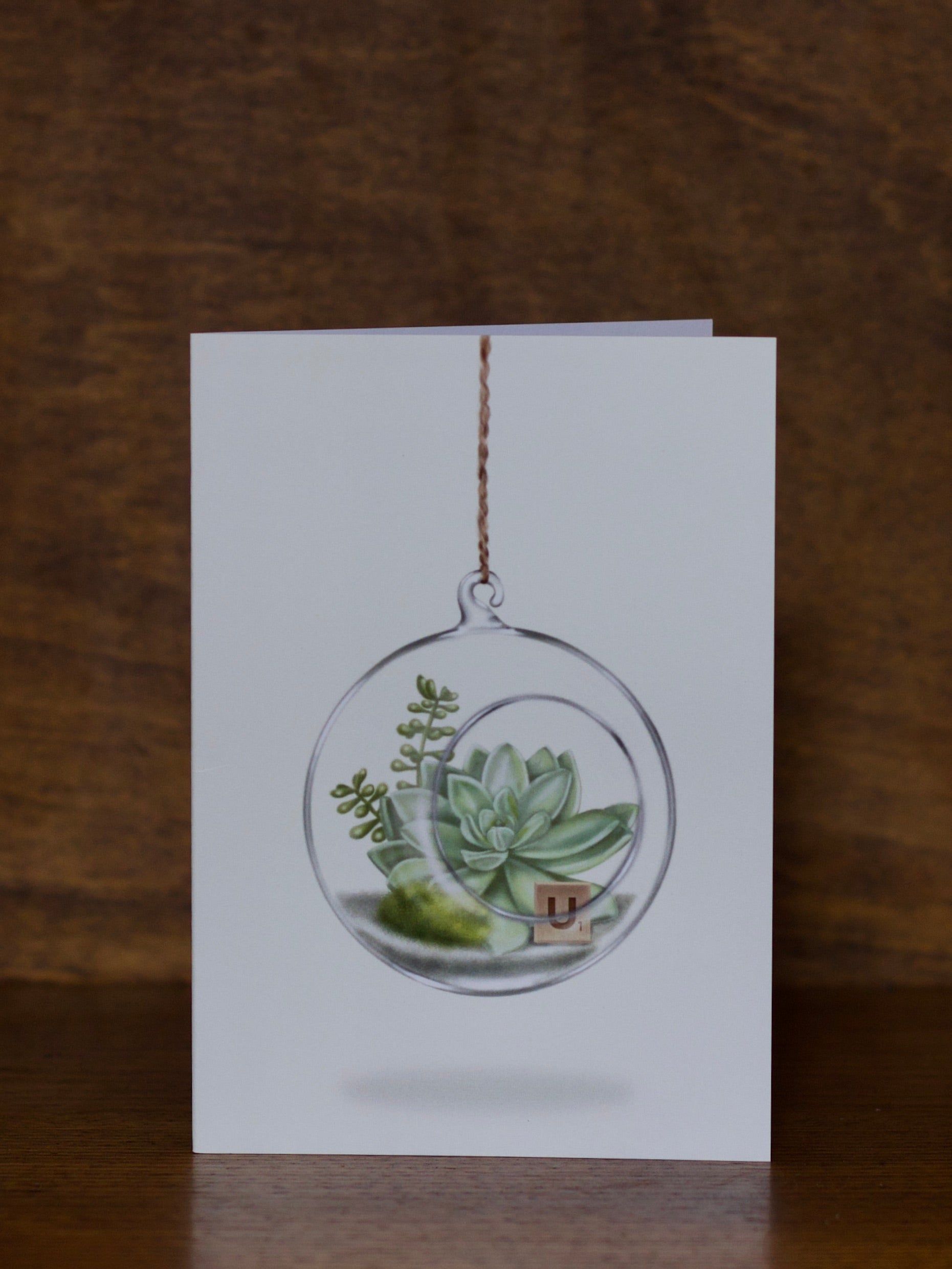 All Occasions greeting cards with a hanging terrarium design featuring succulents on a wooden surface.