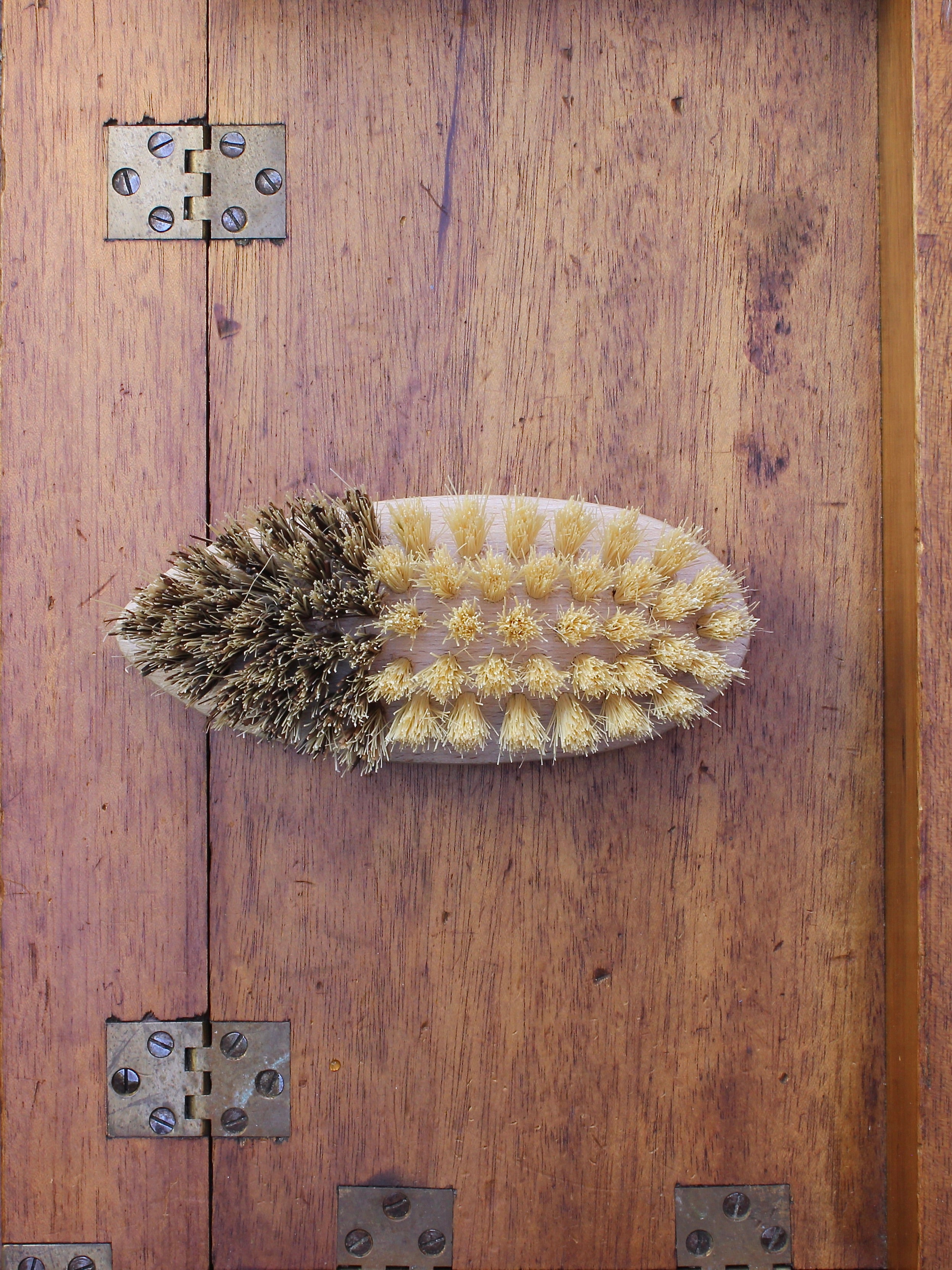 Redecker Vegetable Brush