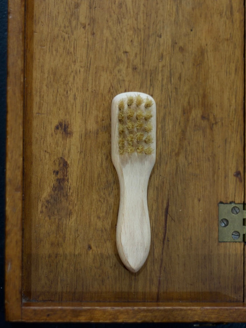 Laundry Stain Brush
