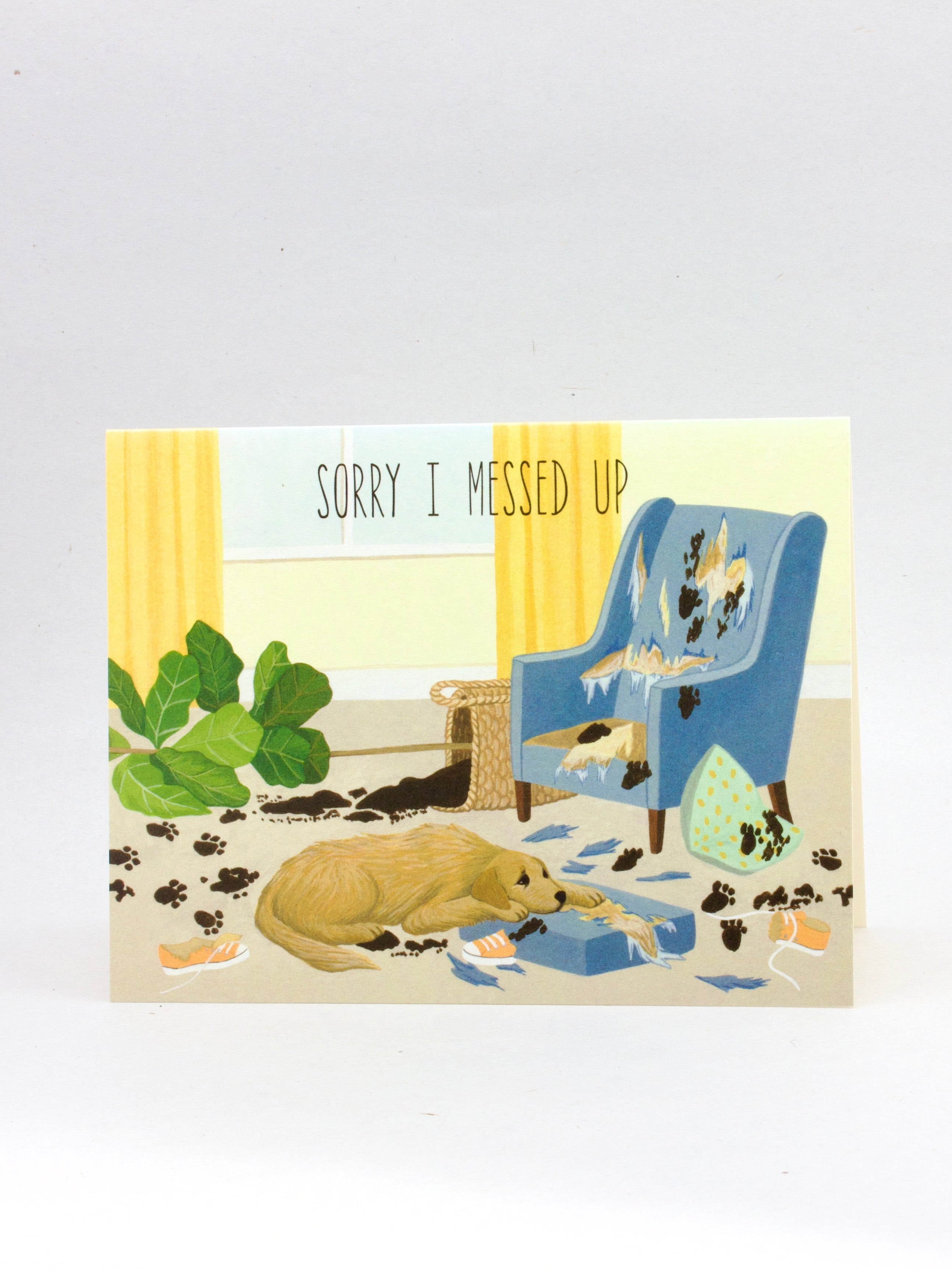 Sorry Greeting Cards