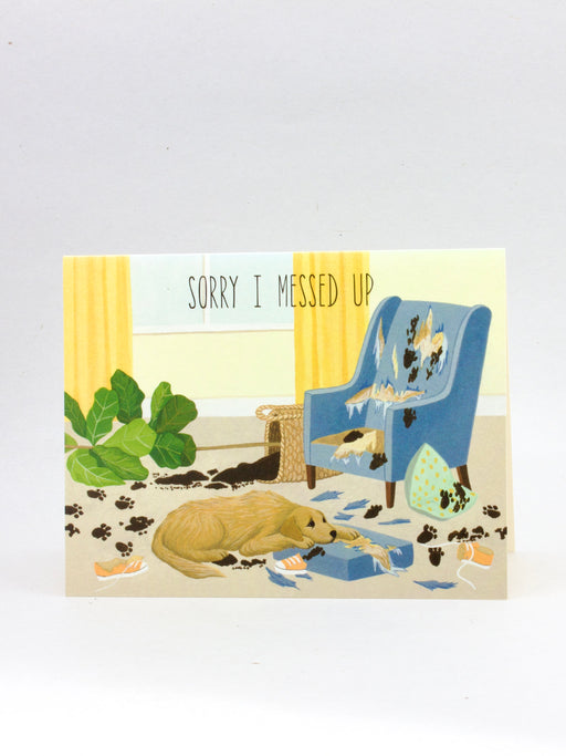 Sorry Greeting Cards