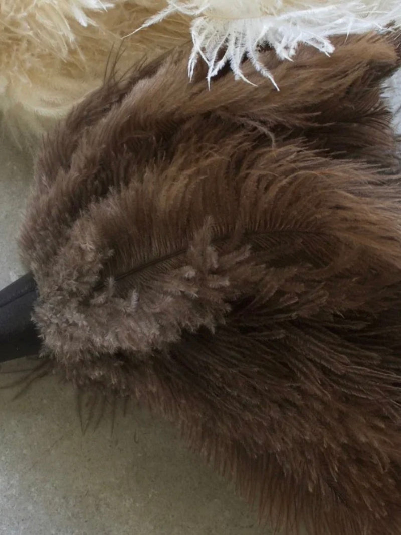 Feather Duster | Natural