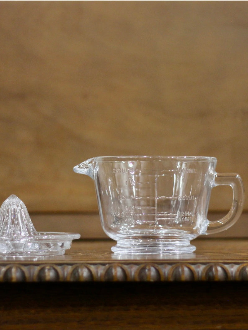 Glass Citrus Juicer