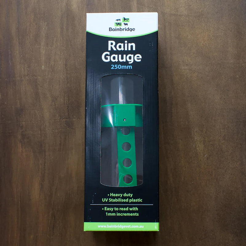 Bainbridge Rain Gauge