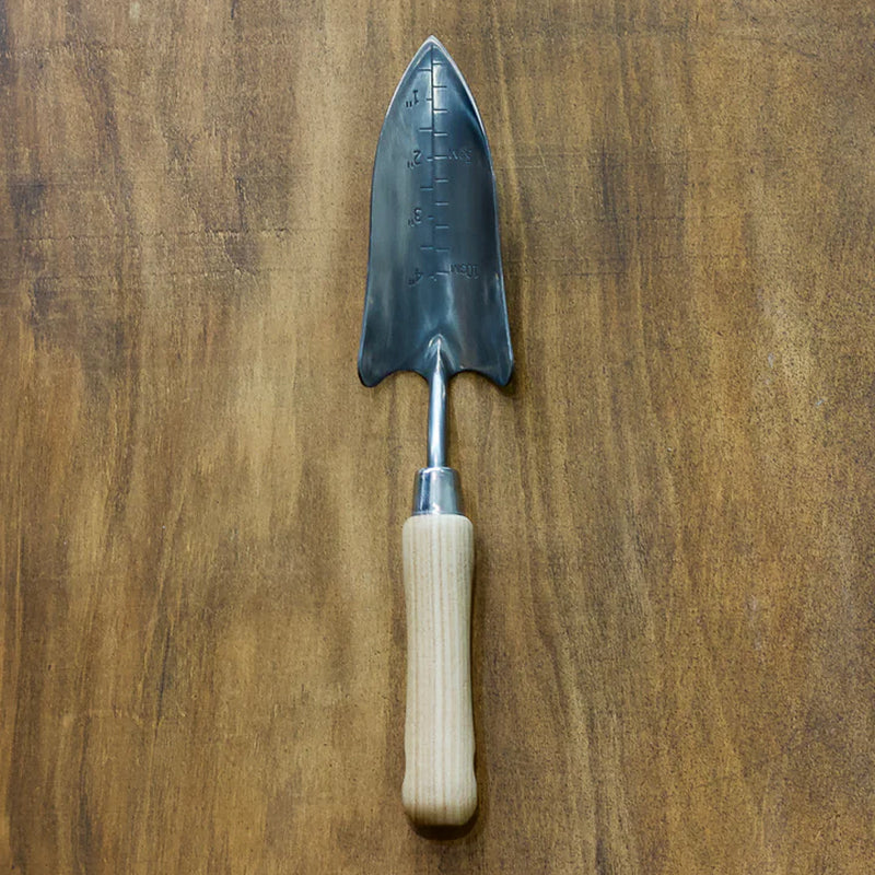 Stainless Steel Hand Transplanter