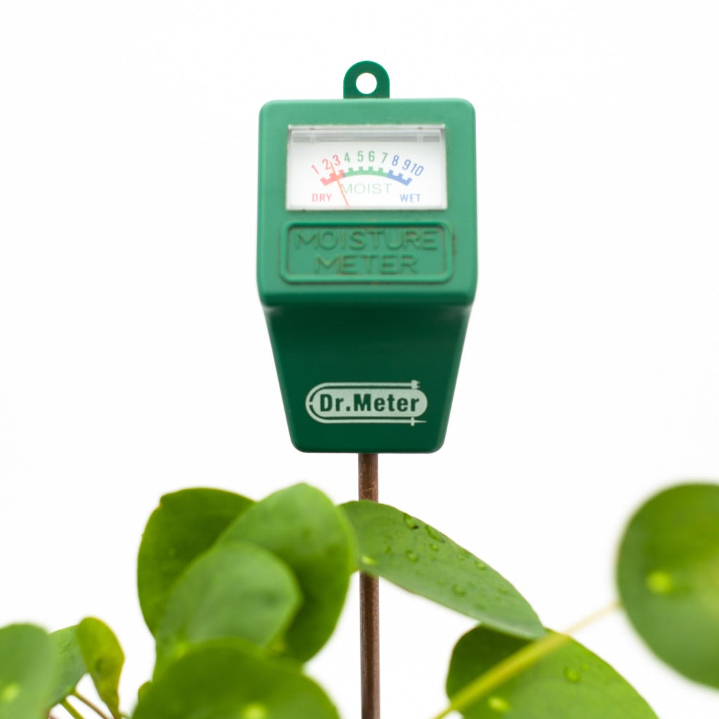 soil moisture meter-plant care-Mosey