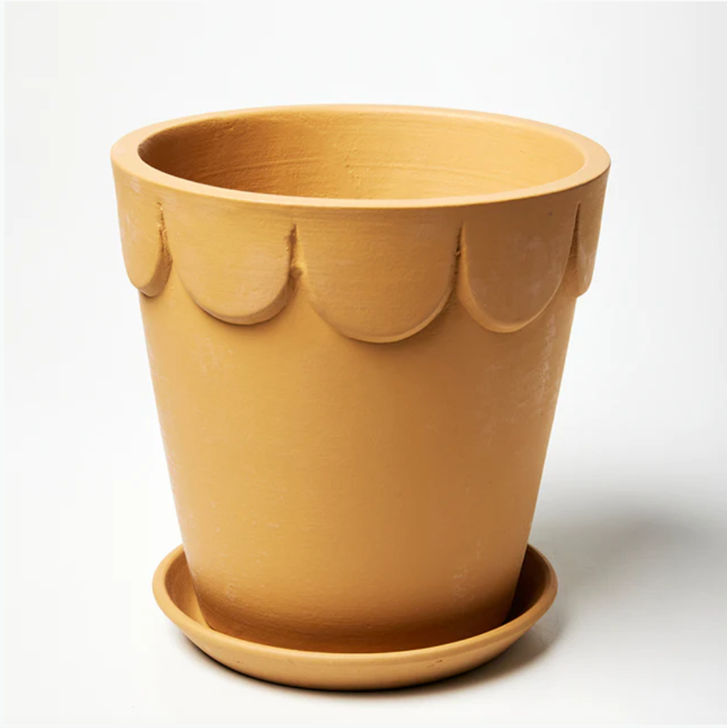 Indoor Pots & Planters | Dolly Pot | Mosey