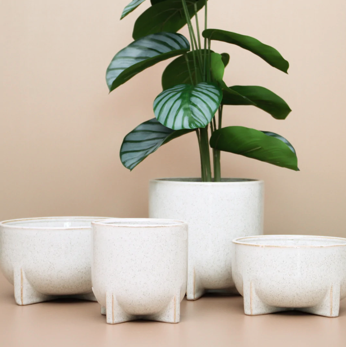 Indoor Pots & Planters | Bessi Pot | Mosey