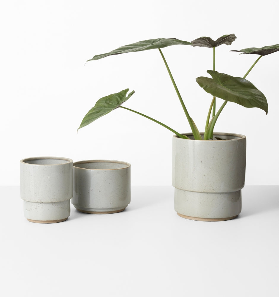 Indoor Pots & Planters | Angus Pot | Mosey